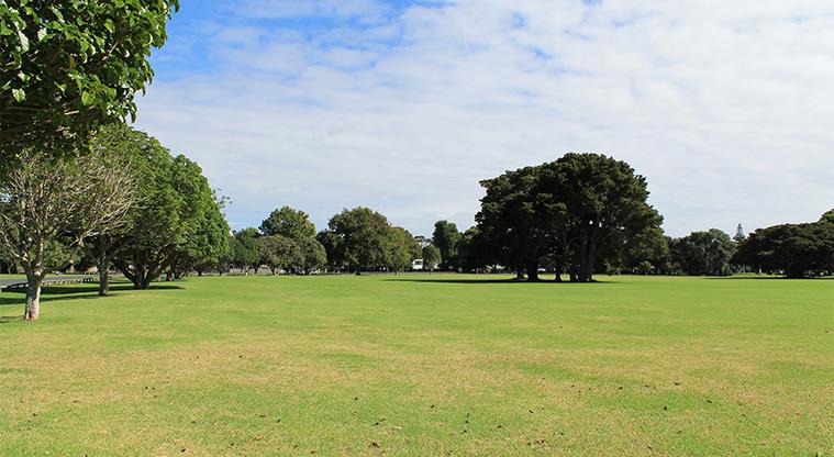 WADHWA WISE CITY Amenities - open space
